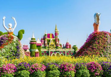 Dubai Miracle Garden Skip-the-Line Tickets
