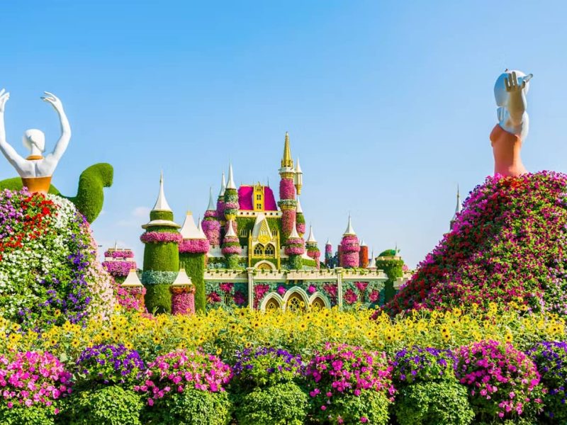 Dubai Miracle Garden Skip-the-Line Tickets