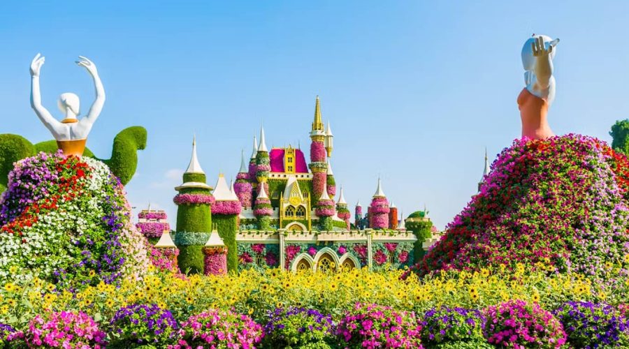 Dubai Miracle Garden Skip-the-Line Tickets