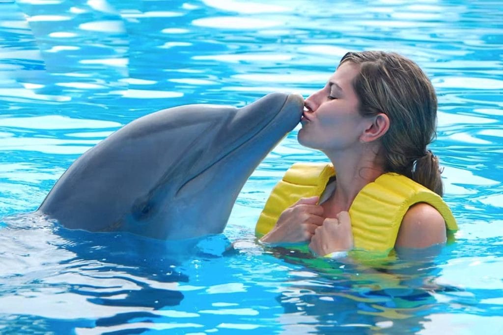 Atlas Village Atlantis Dolphin Meet and Greet