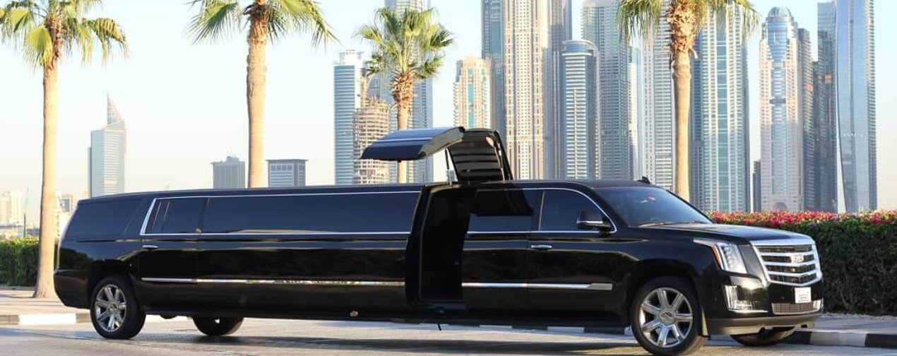 Black Panther Header Image