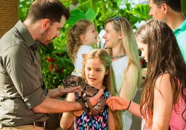 Green Planet Dubai Tickets