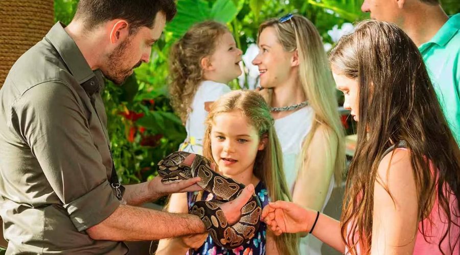 Green Planet Dubai Tickets