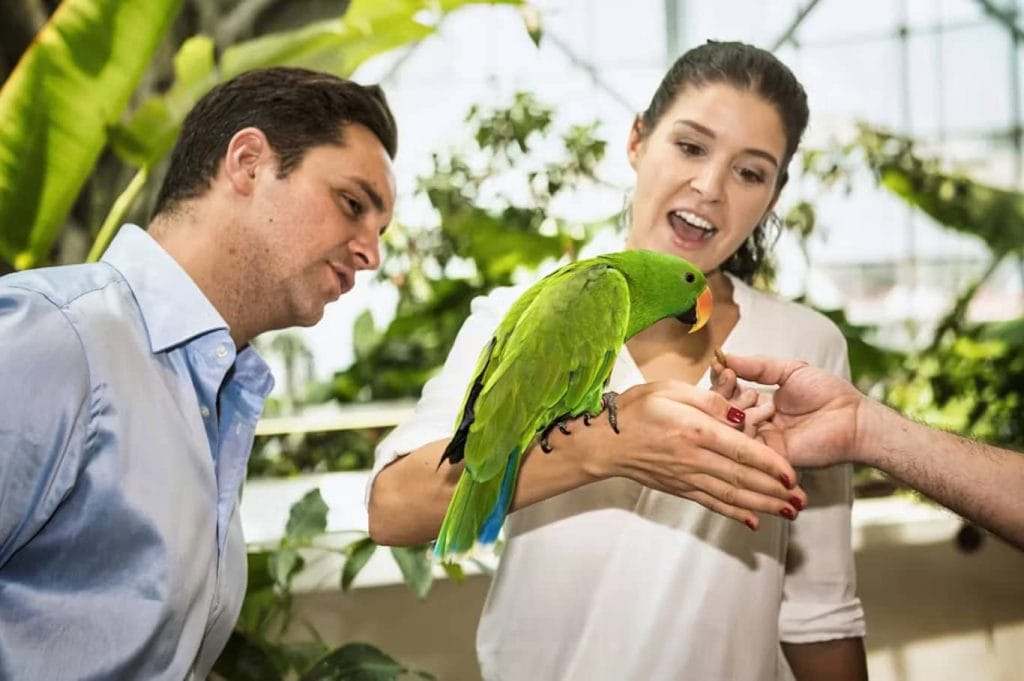 Green Planet Dubai Tickets Parrot