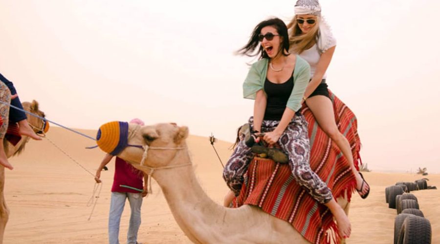 Camel Trekking in Abu Dhabi
