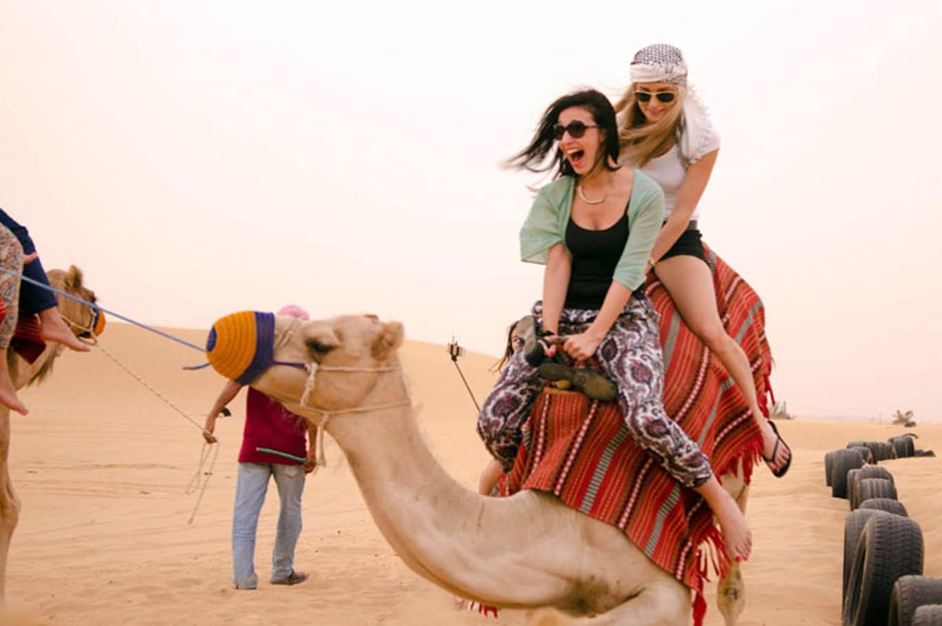 Camel Trekking in Abu Dhabi