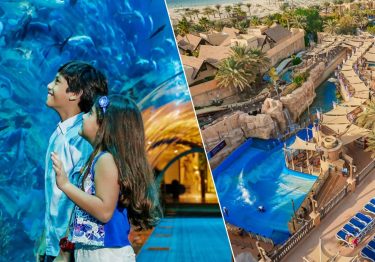 Dubai Aquarium and Wild Wadi Combo