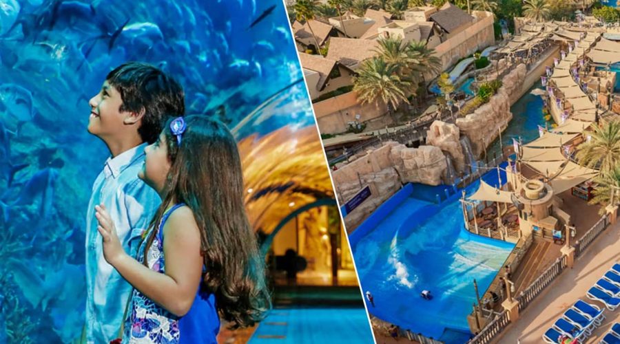 Dubai Aquarium and Wild Wadi Combo