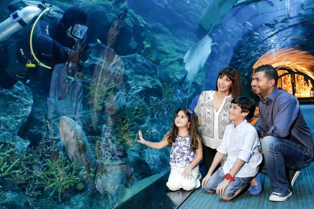 Dubai Aquarium and Wild Wadi Combo