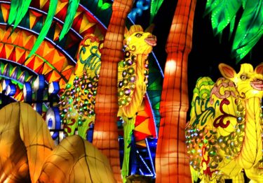 Glow Garden Dubai Tickets