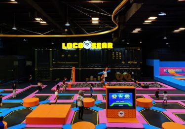 Loco Bear Entertainment Hub