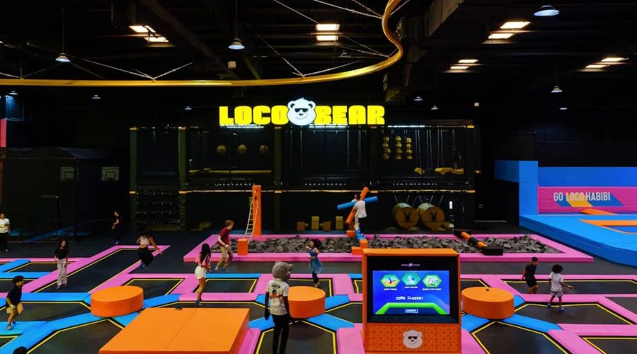 Loco Bear Entertainment Hub