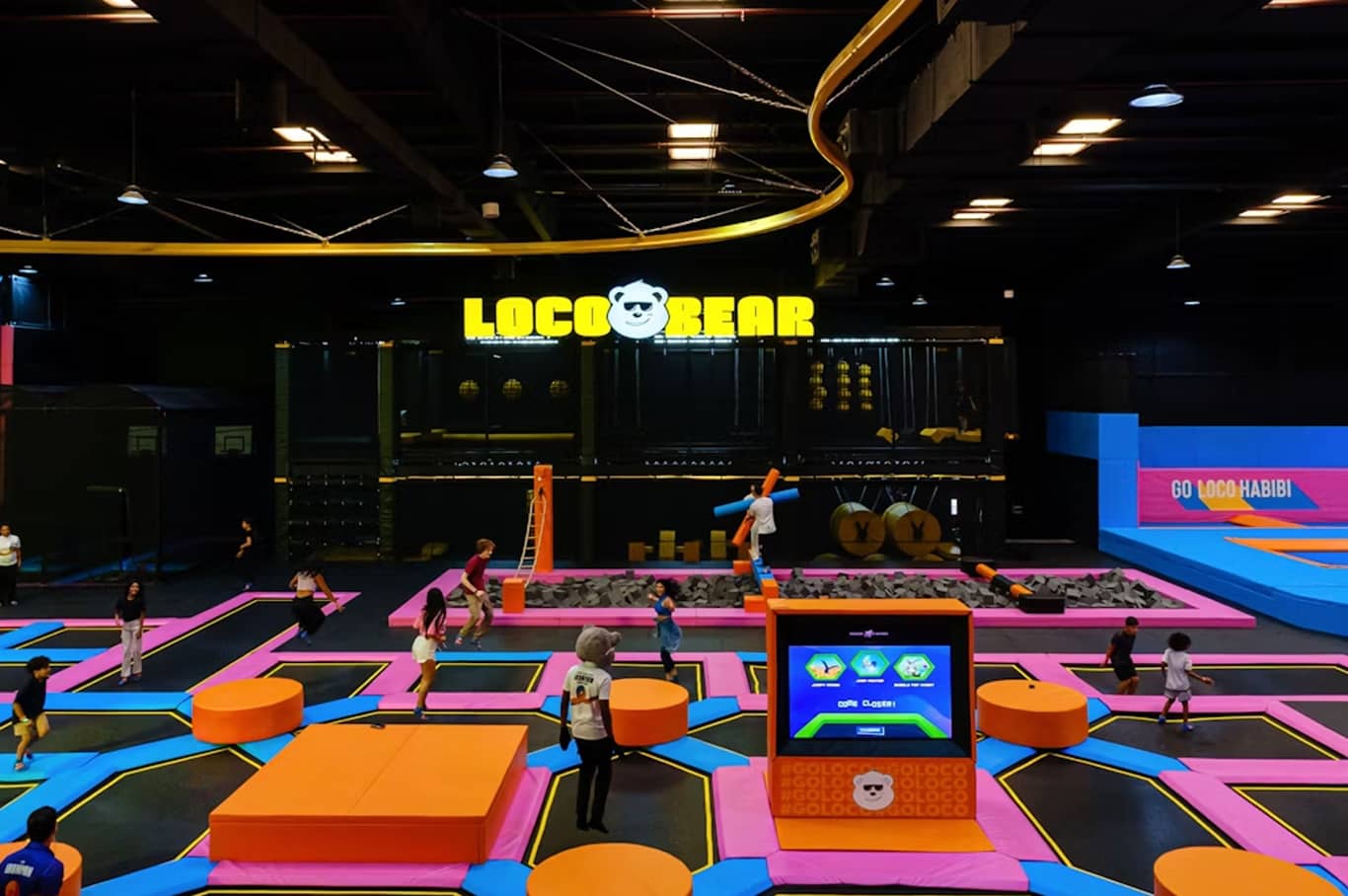 Loco Bear Entertainment Hub