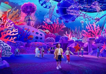 SeaWorld Abu Dhabi Tickets