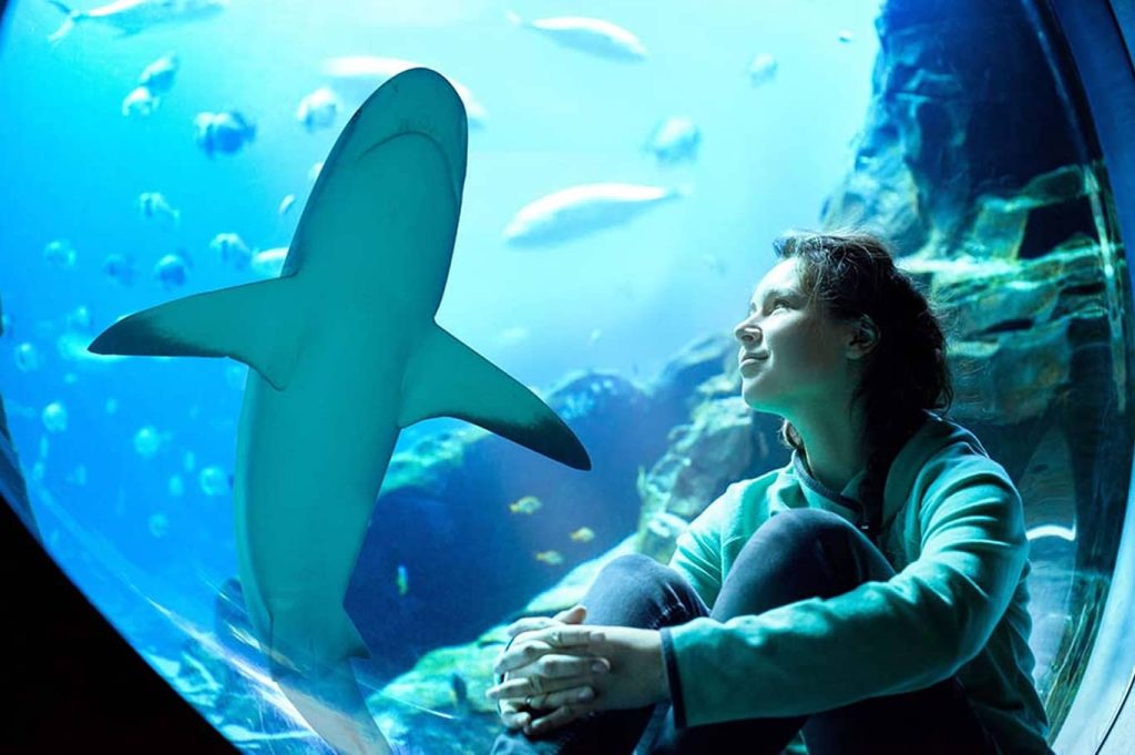 The Lost Chambers Aquarium Tickets