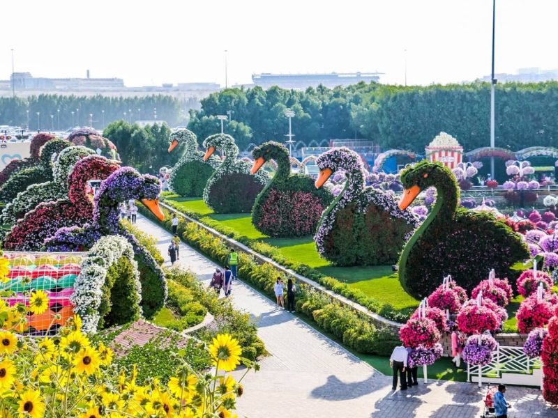Arabian Splendors of Dubai and Abu Dhabi Dubai Miracle Garden