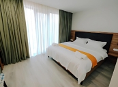 4* Doesi Hotel in Tbilisi or equivalent 