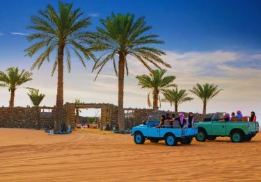 Platinum Heritage Desert Safari Nature Safari with Dates Tree