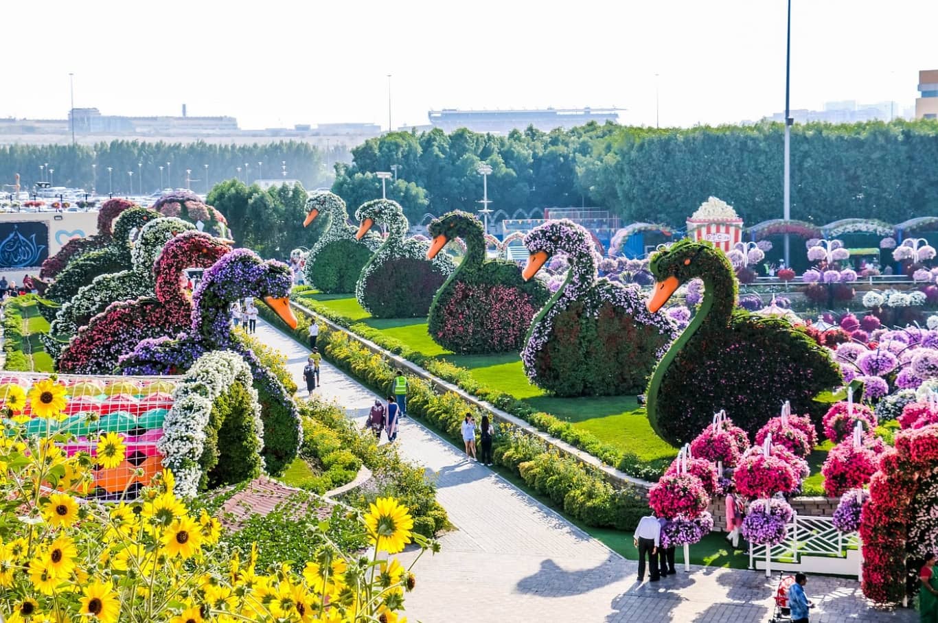 Dubai Holiday Packages Dubai Miracle Garden