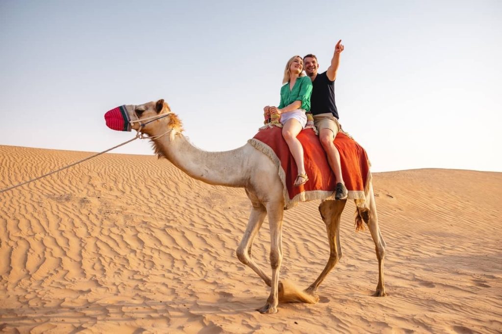 Desert Safari Adventures with Camel Ride
