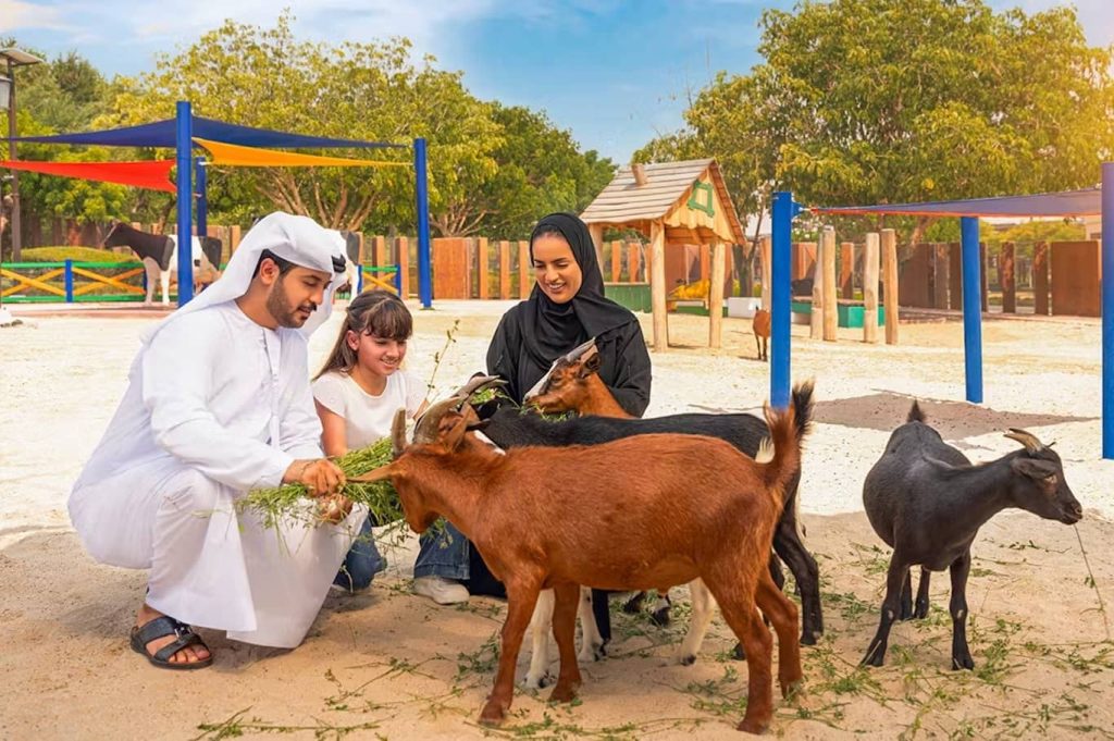 Exploring Dubai with kids Dubai Safari Park, A Wild Adventure