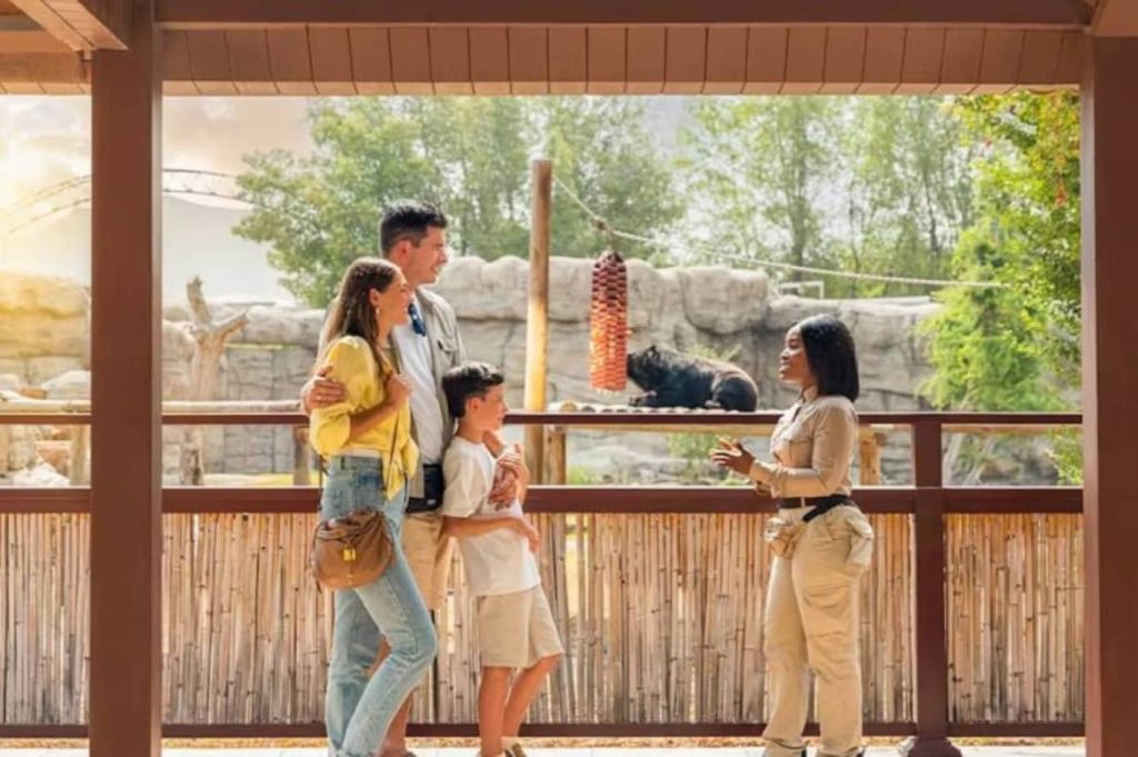 Dubai Safari Park, An Immersive Wildlife Adventure