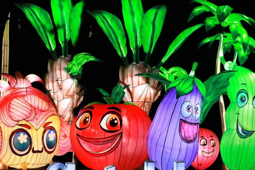 Glow Garden, A Luminous Wonderland