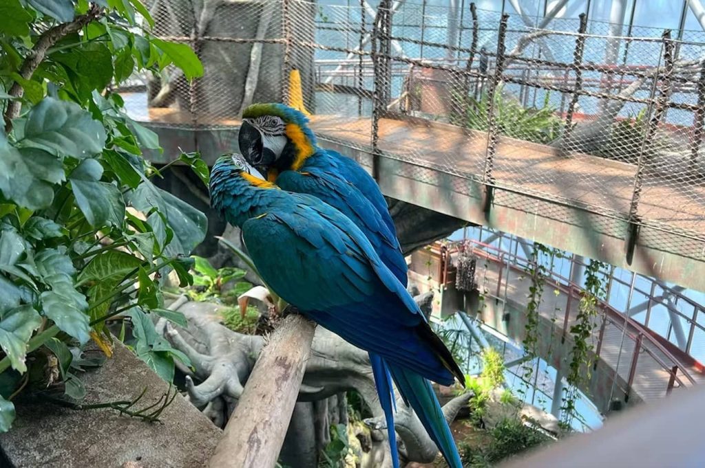 The Green Planet Step into an Indoor Rainforest