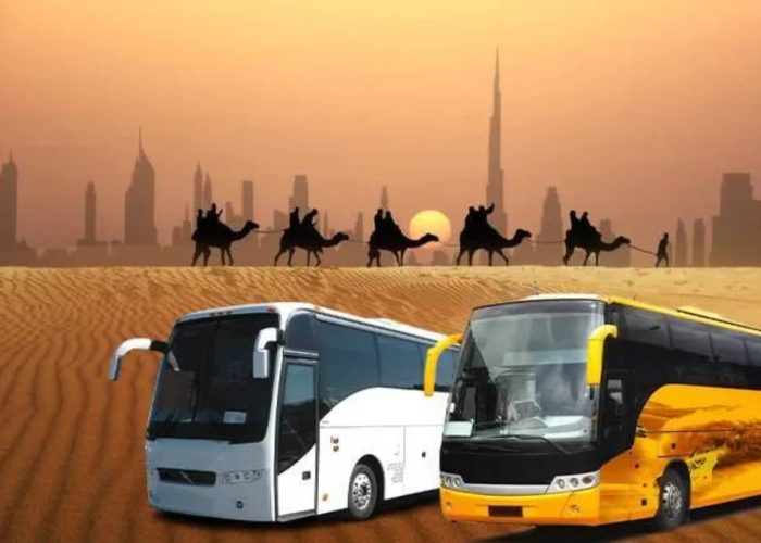 Desert Safari By Bus Pickup and Drop Enjoy Desert