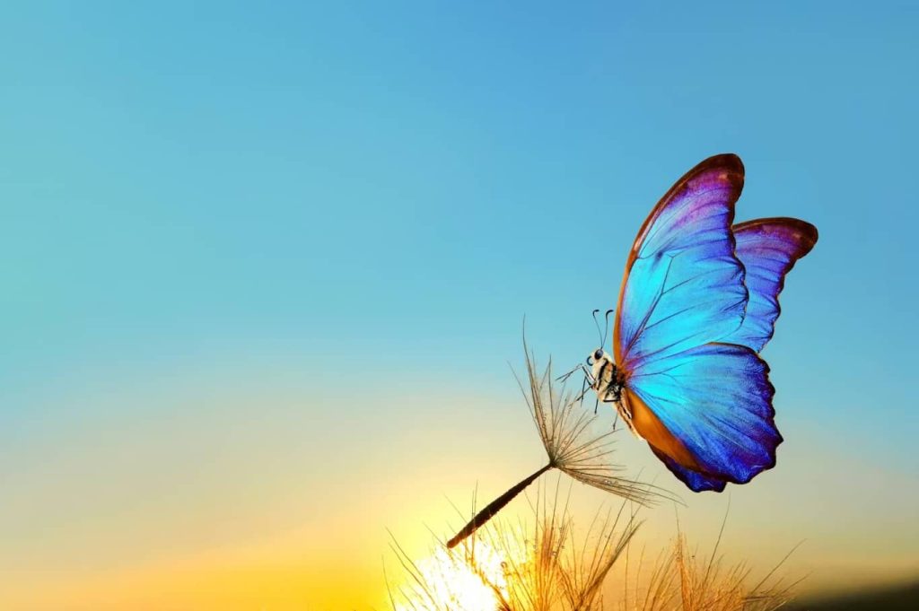 A Tropical Paradise in the Heart of Al Qana