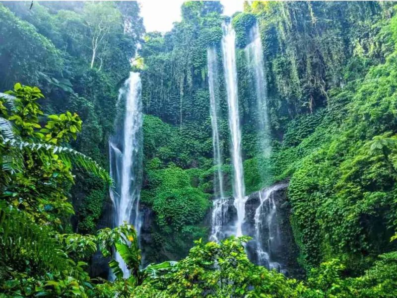Bali Fun Vibes Getaway