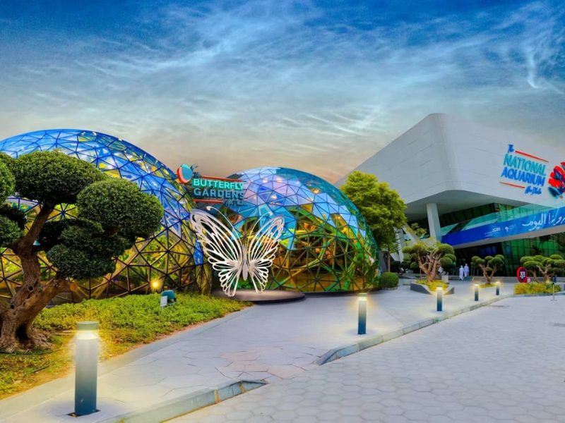 Experience the Magic of the New Butterfly Gardens Opening