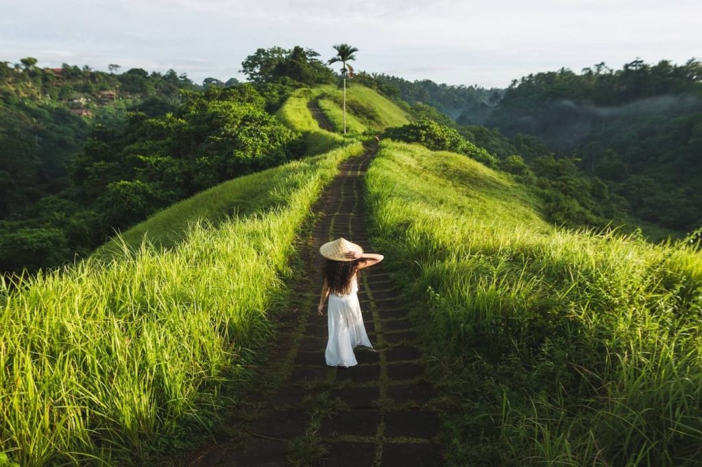 Campuhan Ridge Walk Bali