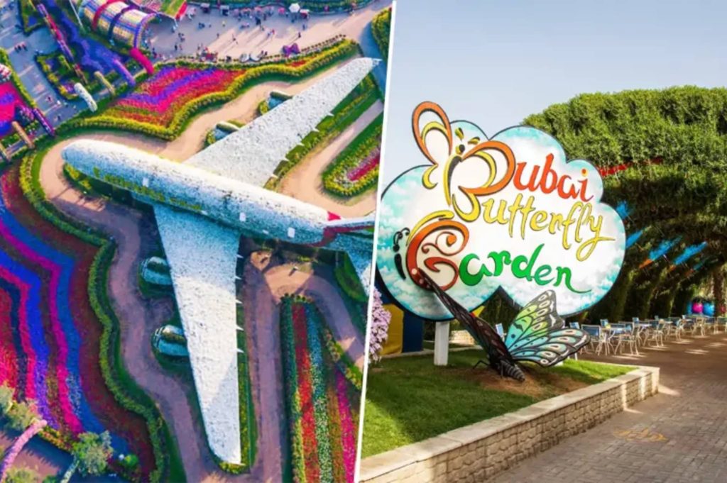 Miracle Garden & Butterfly Garden Combo Tickets colorful floral displays in Dubai