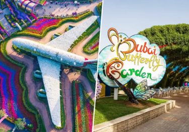 Miracle Garden & Butterfly Garden Combo Tickets colorful floral displays in Dubai