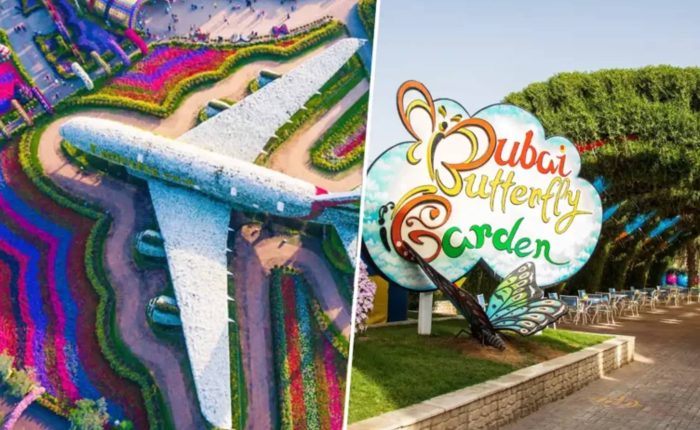 Miracle Garden & Butterfly Garden Combo Tickets colorful floral displays in Dubai