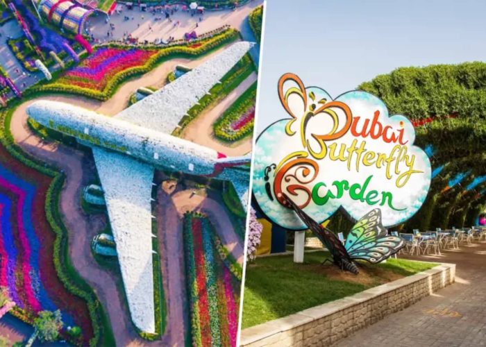 Miracle Garden & Butterfly Garden Combo Tickets colorful floral displays in Dubai