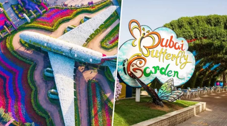 Miracle Garden & Butterfly Garden Combo Tickets colorful floral displays in Dubai