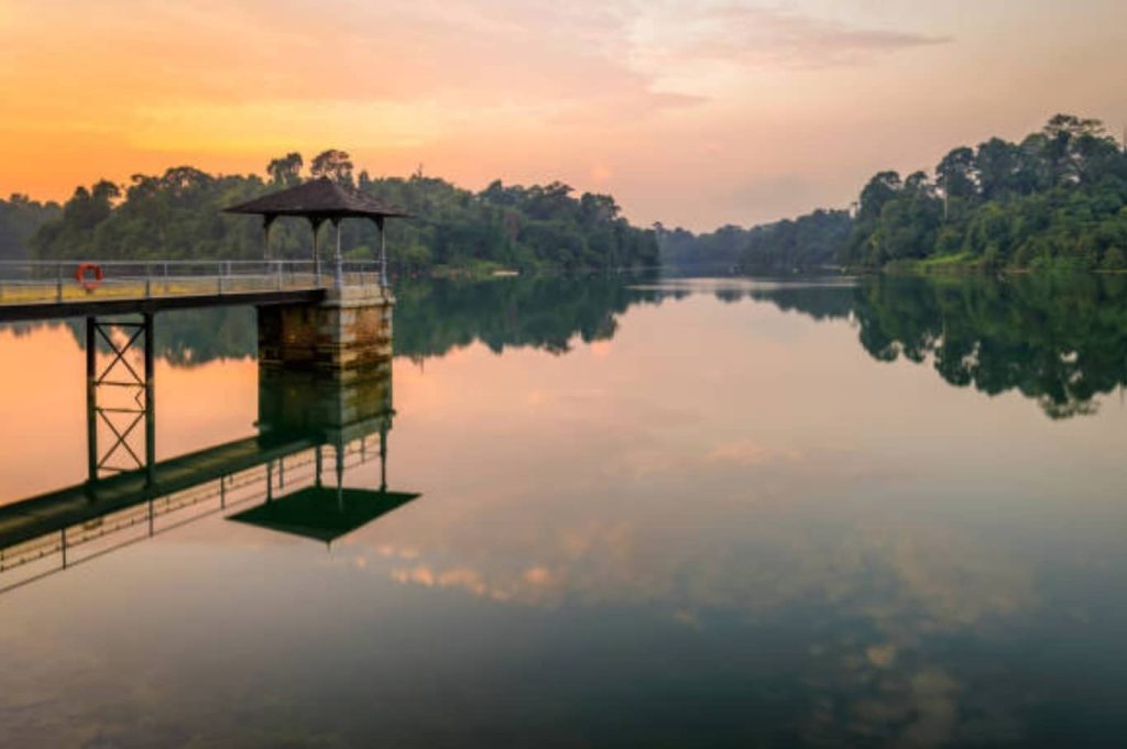 MacRitchie Reservoir Singapore