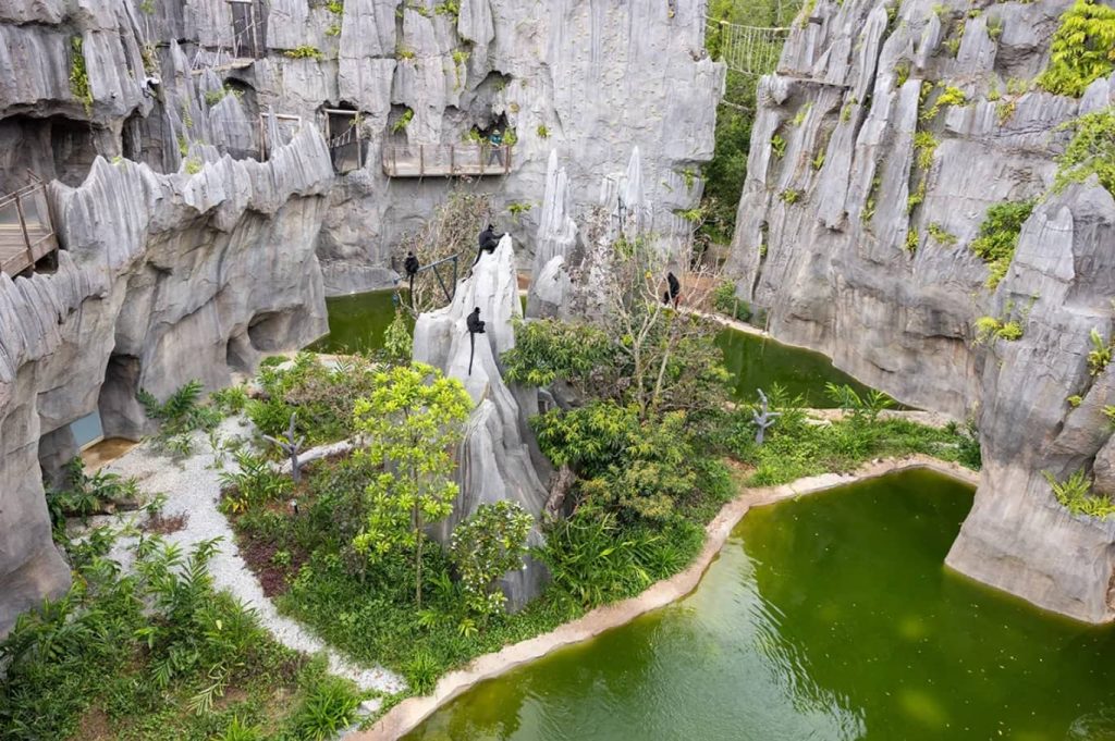 Rainforest Wild Asia Singapore