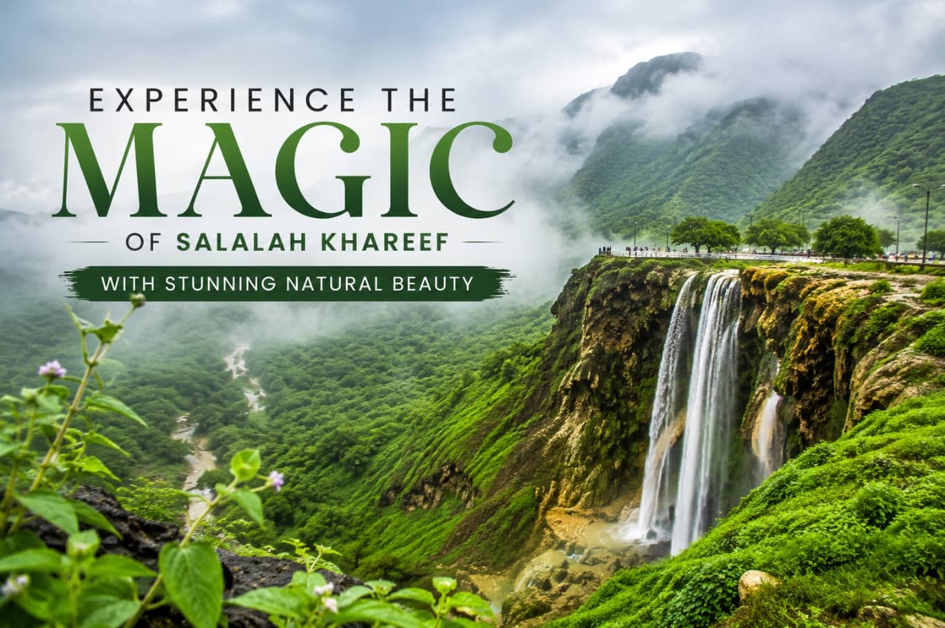 Experience the Magic of Salalah Khareef with Stunning Natural Beauty
