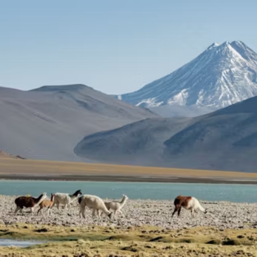 Kazakhstan UAE National Day Holiday Package exploring Almaty
