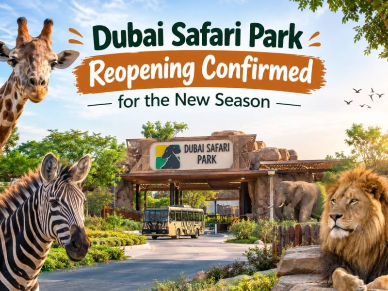 Dubai Safari Park Reopening Confirmed for the New Season